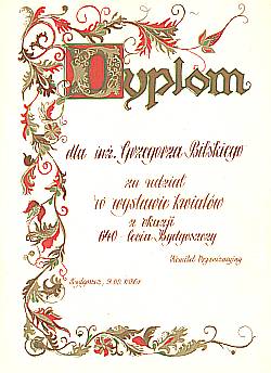 dyp87-2.jpg