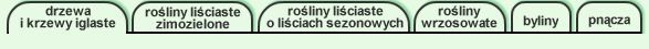 tu jeste�