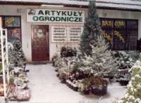 s8a.jpg