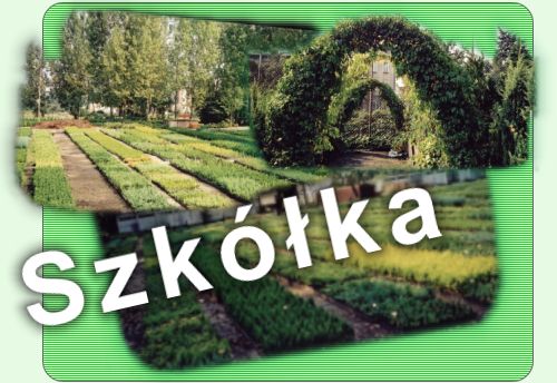 kliknij, aby zobaczyc asortyment szkolki